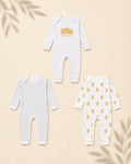 Pack of 3 - Full Sleeves - Sleep Suits - Bearly Bear